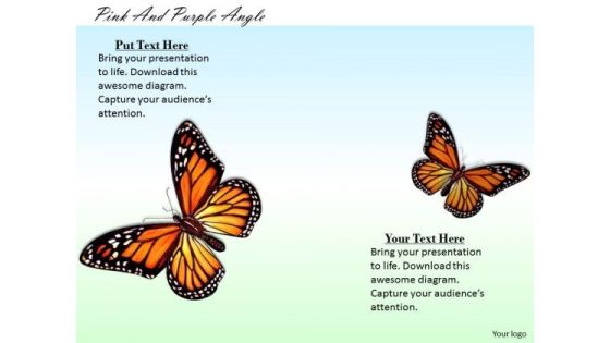 Stock Photo Colorful Picture Of Butterflies PowerPoint Slide Stock Photo Colorful Picture Of Butterflies PowerPoint Slide