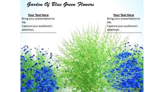 Stock Photo Garden Of Blue Green Flowers Ppt Template Stock Photo Garden Of Blue Green Flowers Ppt Template