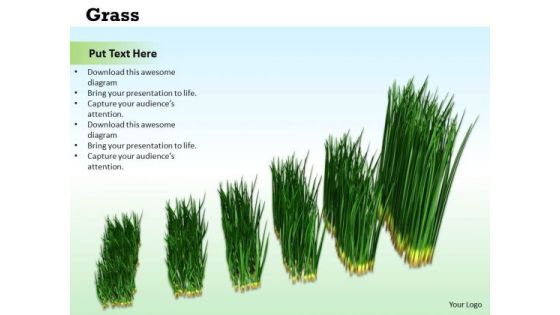 Stock Photo Graph Of Growing Green Grass PowerPoint Slide Stock Photo Graph Of Growing Green Grass PowerPoint Slide