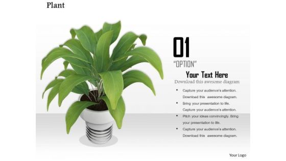 Stock Photo Illustration Of Green Plant In White Vase PowerPoint Slide Stock Photo Illustration Of Green Plant In White Vase PowerPoint Slide