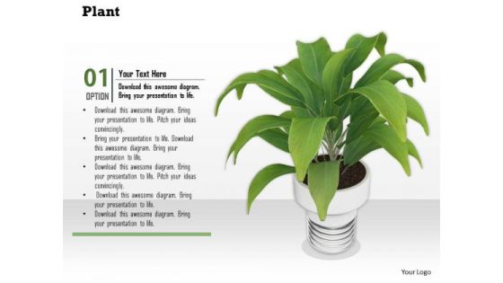 Stock Photo Illustration Of Plant In White Vase PowerPoint Slide Stock Photo Illustration Of Plant In White Vase PowerPoint Slide