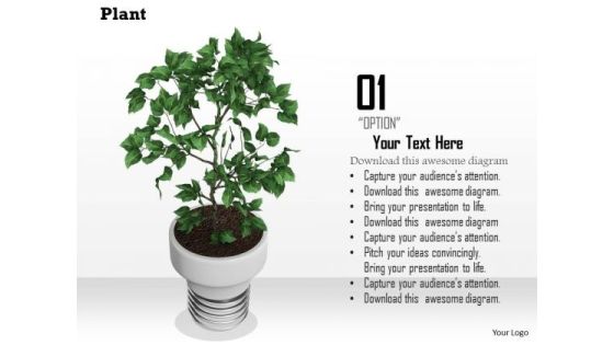 Stock Photo Image Of Indoor Plant PowerPoint Slide Stock Photo Image Of Indoor Plant PowerPoint Slide