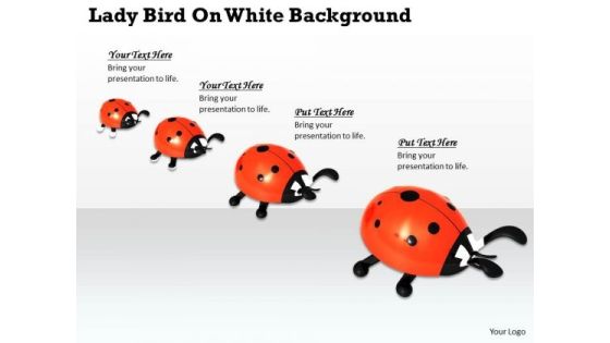 Stock Photo Lady Birds On White Background PowerPoint Slide Stock Photo Lady Birds On White Background PowerPoint Slide