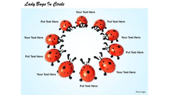 Stock Photo Lady Bugs In Circle PowerPoint Template Stock Photo Lady Bugs In Circle PowerPoint Template