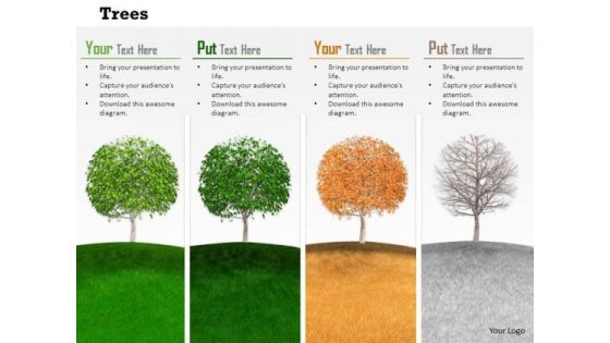 Stock Photo Trees Depicting Four Seasons Pwerpoint Slide