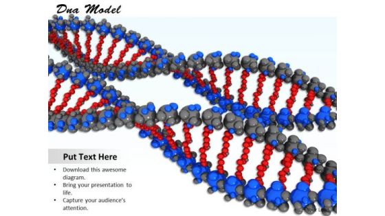 Stock Photo Two Colorful Dna Designs For Biology PowerPoint Slide Stock Photo Two Colorful Dna Designs For Biology PowerPoint Slide