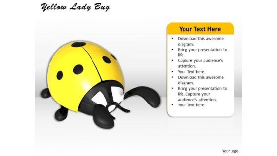 Stock Photo Yellow Lady Bug Insect PowerPoint Slide Stock Photo Yellow Lady Bug Insect PowerPoint Slide