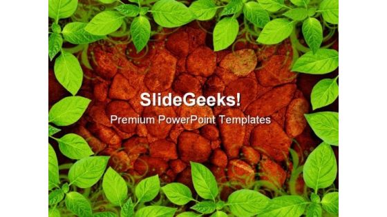 Stone Wall Surface With Green Nature PowerPoint Templates And PowerPoint Backgrounds 0311