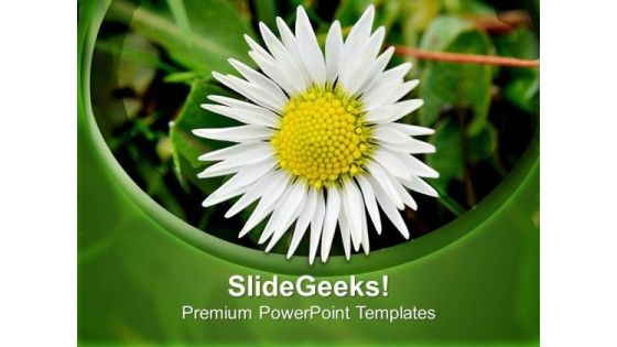 Summer Flower Nature PowerPoint Templates Ppt Backgrounds For Slides 0513 Summer Flower Nature PowerPoint Templates Ppt Backgrounds For Slides 0513