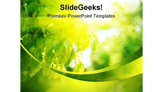 Sun Light Through Leaves Nature PowerPoint Background And Template 1210