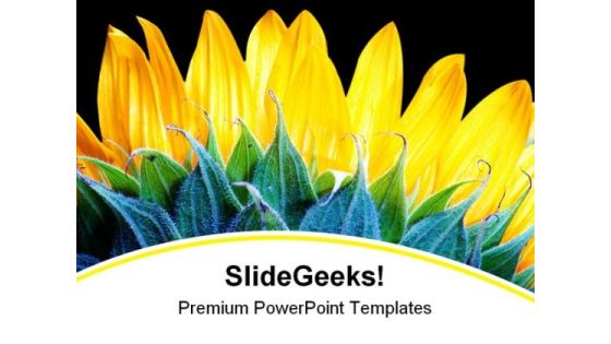 Sunflower Beauty Nature PowerPoint Backgrounds And Templates 1210