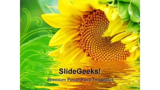 Sunflower Beauty PowerPoint Template 1110 Sunflower Beauty PowerPoint Template 1110