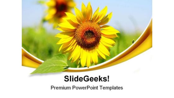 Sunflower Beauty PowerPoint Templates And PowerPoint Backgrounds 0511