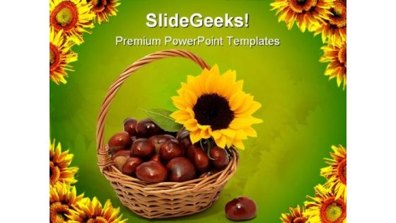 Sunflower With Chestnuts Nature PowerPoint Templates And PowerPoint Backgrounds 0311 Sunflower With Chestnuts Nature PowerPoint Templates And PowerPoint Backgrounds 0311