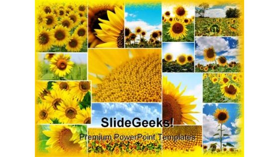 Sunflowers Collage Beauty Abstract PowerPoint Templates And PowerPoint Backgrounds 0211