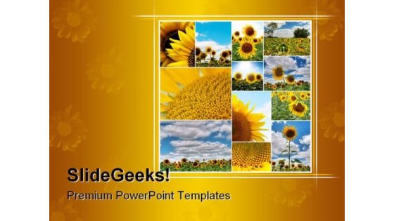Sunflowers Collage Nature PowerPoint Template 0810 Sunflowers Collage Nature PowerPoint Template 0810