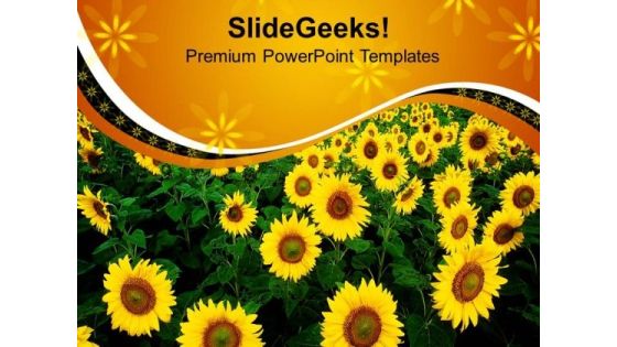 Sunflowers With Yellow Background PowerPoint Templates Ppt Backgrounds For Slides 0713 Sunflowers With Yellow Background PowerPoint Templates Ppt Backgrounds For Slides 0713