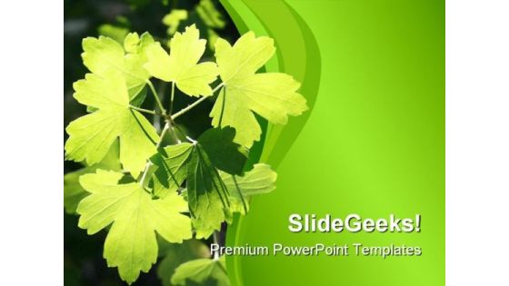 Sunlit Leaves Nature PowerPoint Themes And PowerPoint Slides 0511 Sunlit Leaves Nature PowerPoint Themes And PowerPoint Slides 0511