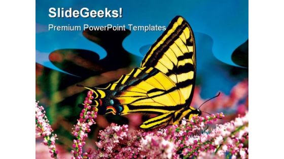 Swallowtail Butterfly Nature PowerPoint Templates And PowerPoint Backgrounds 0511 Swallowtail Butterfly Nature PowerPoint Templates And PowerPoint Backgrounds 0511
