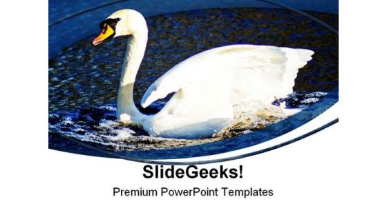 Swan Animals PowerPoint Templates And PowerPoint Backgrounds 0411 Swan Animals PowerPoint Templates And PowerPoint Backgrounds 0411