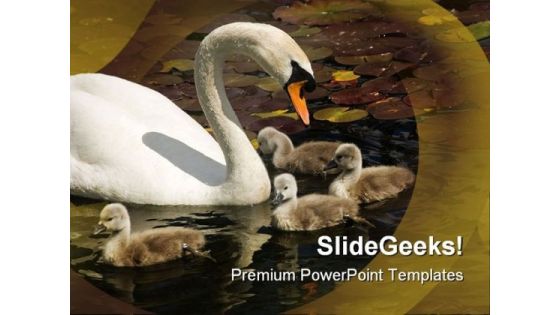 Swan Stroll Animals PowerPoint Templates And PowerPoint Backgrounds 0511 Swan Stroll Animals PowerPoint Templates And PowerPoint Backgrounds 0511