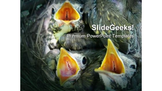 Thrush Nestlings Animals PowerPoint Templates And PowerPoint Backgrounds 0111 Thrush Nestlings Animals PowerPoint Templates And PowerPoint Backgrounds 0111