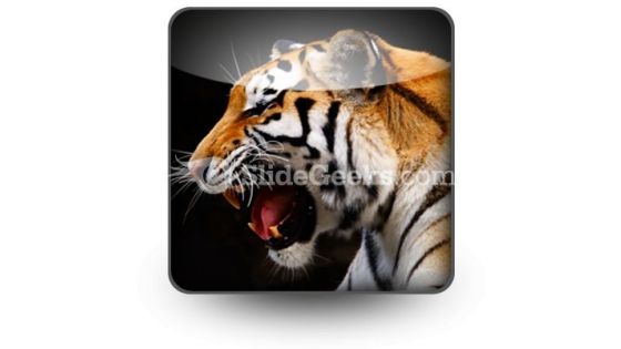 Tiger PowerPoint Icon S Tiger PowerPoint Icon S