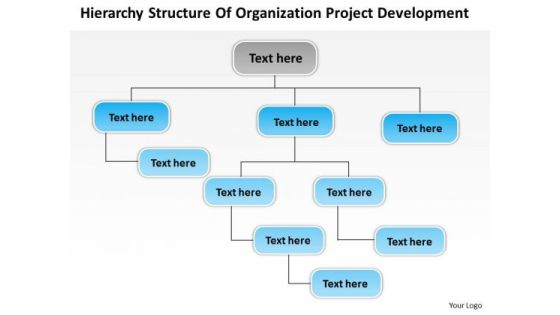 Timeline Hierarchy Structure Of Organization Project Development Timeline Hierarchy Structure Of Organization Project Development
