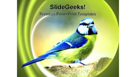 Tit Nature PowerPoint Templates And PowerPoint Backgrounds 0111 Tit Nature PowerPoint Templates And PowerPoint Backgrounds 0111