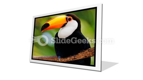Toucan PowerPoint Icon F Toucan PowerPoint Icon F