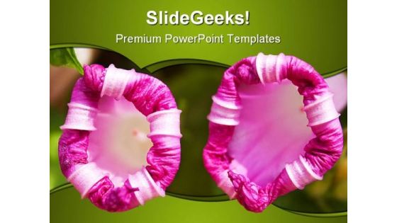 Tubular Pink Flowers Beauty PowerPoint Backgrounds And Templates 1210 Tubular Pink Flowers Beauty PowerPoint Backgrounds And Templates 1210