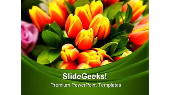Tulip Flowers Beauty PowerPoint Templates And PowerPoint Backgrounds 0311 Tulip Flowers Beauty PowerPoint Templates And PowerPoint Backgrounds 0311