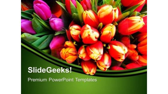 Tulip Flowers Nature PowerPoint Templates And PowerPoint Themes 0512 Tulip Flowers Nature PowerPoint Templates And PowerPoint Themes 0512