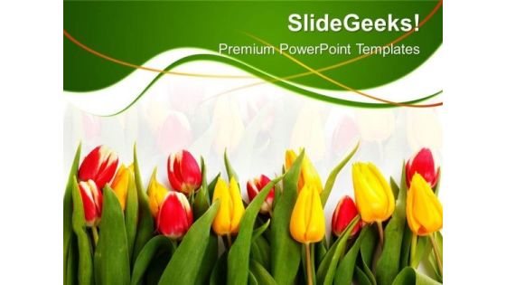 Tulips01 Beauty PowerPoint Templates And PowerPoint Themes 0512 Tulips01 Beauty PowerPoint Templates And PowerPoint Themes 0512