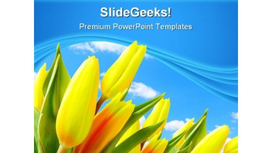 Tulips Beauty PowerPoint Background And Template 1210