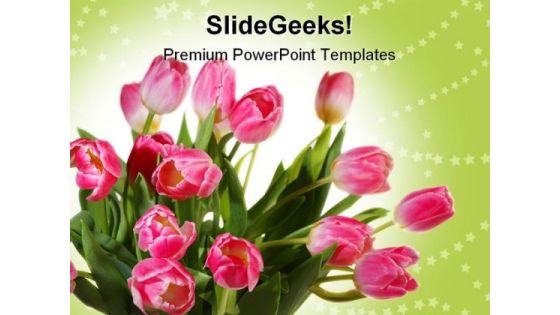 Tulips Bouquet Beauty PowerPoint Themes And PowerPoint Slides 0211 Tulips Bouquet Beauty PowerPoint Themes And PowerPoint Slides 0211