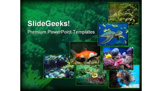 Underwater Animals Nature PowerPoint Themes And PowerPoint Slides 0211 Underwater Animals Nature PowerPoint Themes And PowerPoint Slides 0211