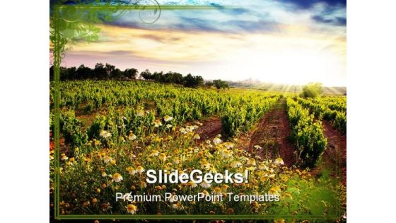 Vineyard Nature PowerPoint Templates And PowerPoint Backgrounds 0311 Vineyard Nature PowerPoint Templates And PowerPoint Backgrounds 0311