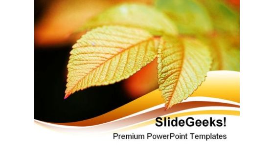 Vivid Leaf Nature PowerPoint Backgrounds And Templates 1210