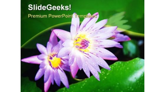Water Lilies Beauty PowerPoint Templates And PowerPoint Backgrounds 0211