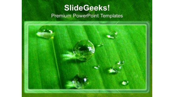 Waterdrops On Leaves Fresh Savings PowerPoint Templates Ppt Backgrounds For Slides 0213