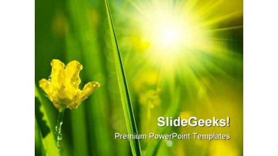 Wet Meadow Nature PowerPoint Templates And PowerPoint Backgrounds 0411 Wet Meadow Nature PowerPoint Templates And PowerPoint Backgrounds 0411
