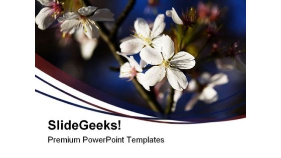 White Blossom Nature PowerPoint Templates And PowerPoint Backgrounds 0311