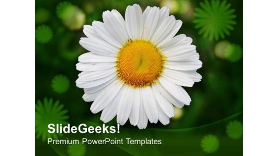 White Daisy Flower With Green Background PowerPoint Templates Ppt Backgrounds For Slides 0613 White Daisy Flower With Green Background PowerPoint Templates Ppt Backgrounds For Slides 0613
