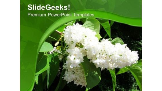 White Flowers Nature Abstract Background PowerPoint Templates Ppt Backgrounds For Slides 0613 White Flowers Nature Abstract Background PowerPoint Templates Ppt Backgrounds For Slides 0613