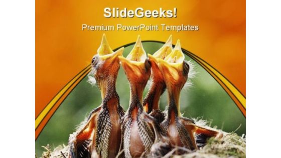 Wild Birds Animal PowerPoint Template 0810 Wild Birds Animal PowerPoint Template 0810