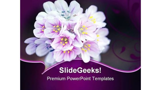 Wild Flower Beauty PowerPoint Templates And PowerPoint Backgrounds 0211