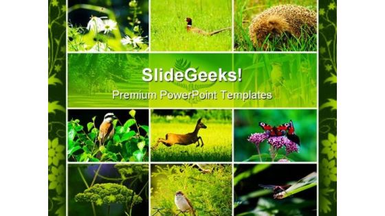 Wild Nature Animals PowerPoint Themes And PowerPoint Slides 0511 Wild Nature Animals PowerPoint Themes And PowerPoint Slides 0511