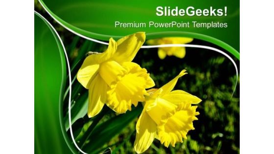 Yellow Flower Backgrund PowerPoint Templates Ppt Backgrounds For Slides 0713 Yellow Flower Backgrund PowerPoint Templates Ppt Backgrounds For Slides 0713