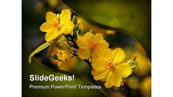 Yellow Flower Nature PowerPoint Templates And PowerPoint Backgrounds 0211 Yellow Flower Nature PowerPoint Templates And PowerPoint Backgrounds 0211